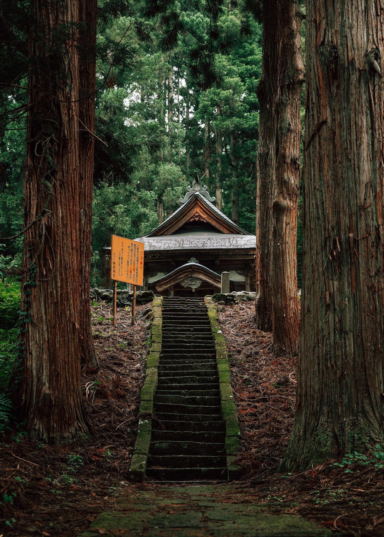 Unesco heritage tempel en altaren complex tussen de bomen in Nikko in Japan